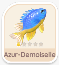 Azur-Demoiselle