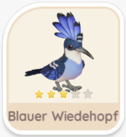 Blauer Wiedehopf