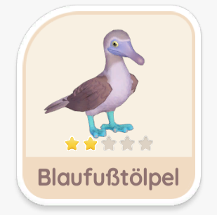 Blaufußtölpel