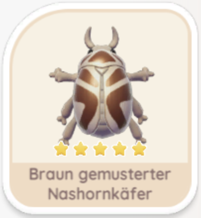 Braun gemusterter Nashornkäfer