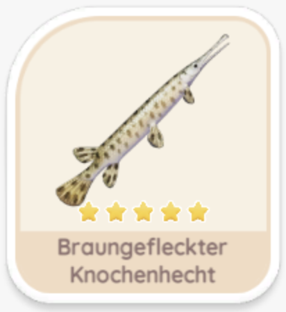 Braungefleckter Knochenhecht