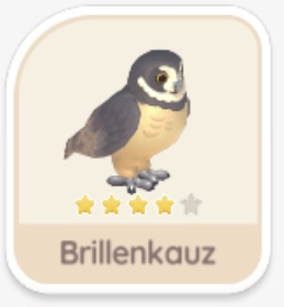 Brillenkauz