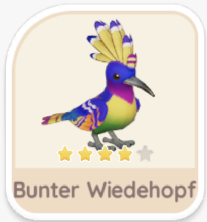 Bunter Wiedehopf