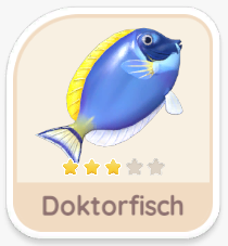 Doktorfisch