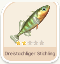 Dreistachliger Stichling