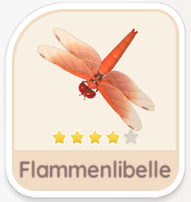 Flammenlibelle