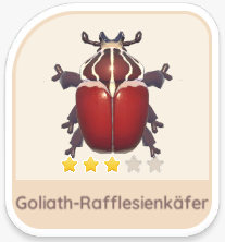 Goliath-Rafflesienkäfer