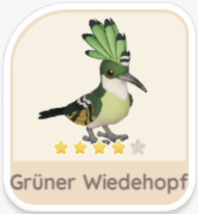 Grüner Wiedehopf