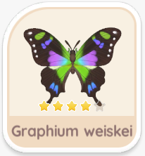 Graphium weiskei