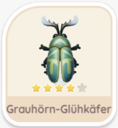 Grauhörn-Glühkäfer