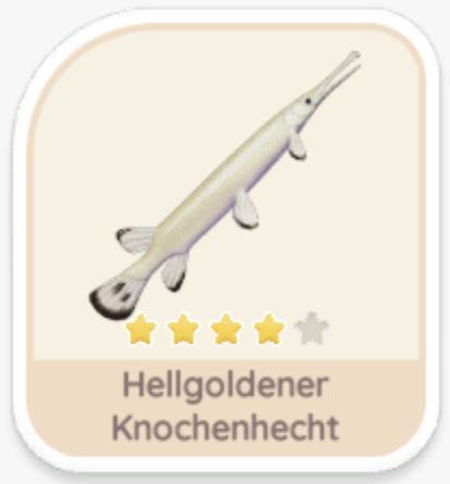 Hellgoldener Knochenhecht