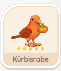 Kürbisrabe