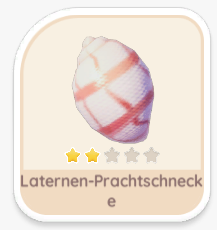 Laternen-Prachtschnecke
