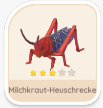 Milchkraut-Heuschrecke
