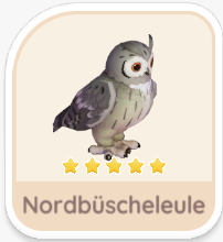 Nordbüscheleule