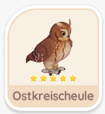 Ostkreischeule