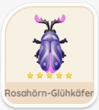 Rosahörn-Glühkäfer