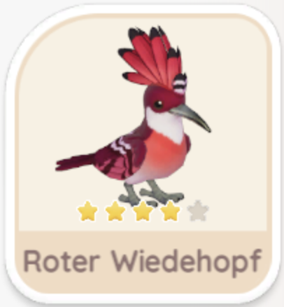Roter Wiedehopf
