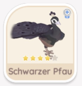 Schwarzer Pfau