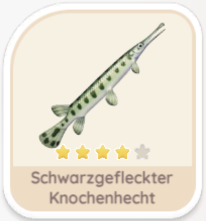 Schwarzgefleckter Knochenhecht