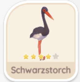 Schwarzstorch