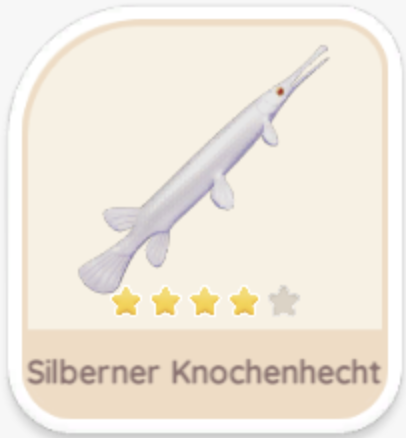Silberner Knochenhecht