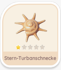 Stern-Turbanschnecke