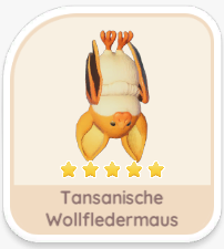 Tansanische Wollfledermaus
